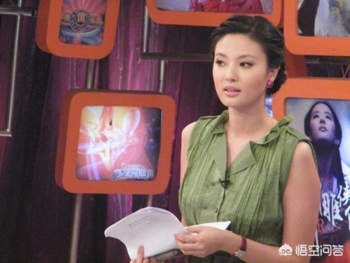 如何评价央视主持人刘芳菲？